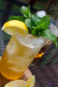 Shoo-Fly Punch (2 of 2)