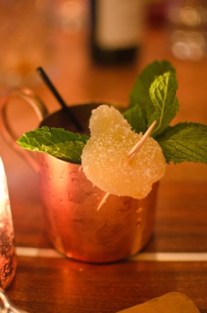 CharlestonFeb2013 (14 of 43)