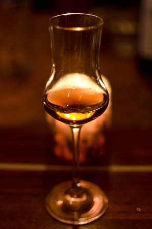 CharlestonFeb2013 (15 of 43)