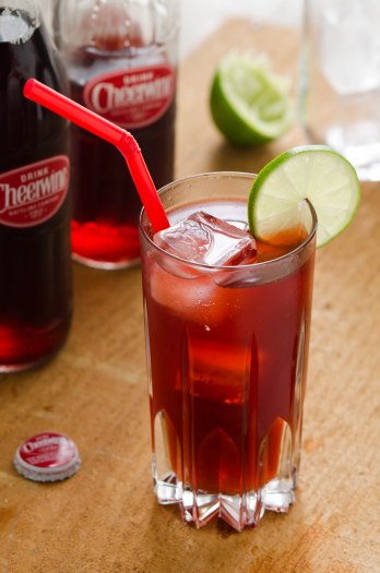 CheerwineCocktails (1 of 3)