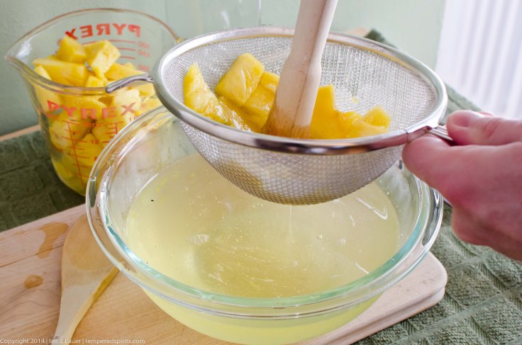 PineapleSyrup (1 of 3)