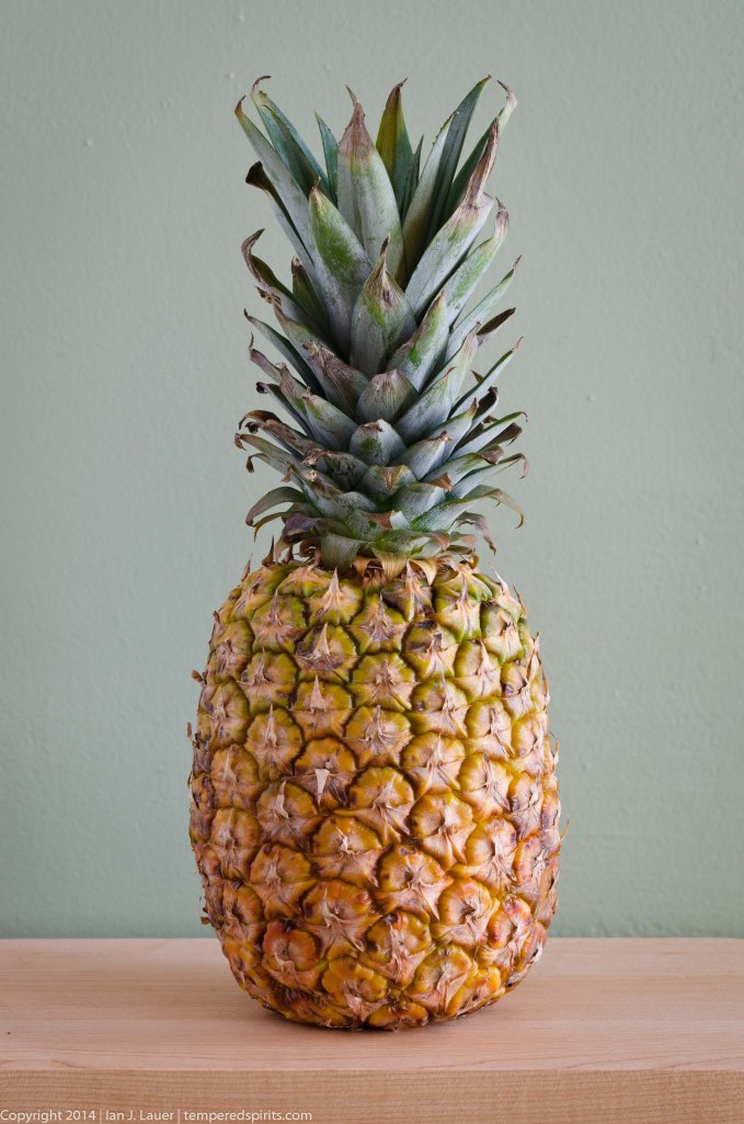 PineappleSyrup (1 of 8)