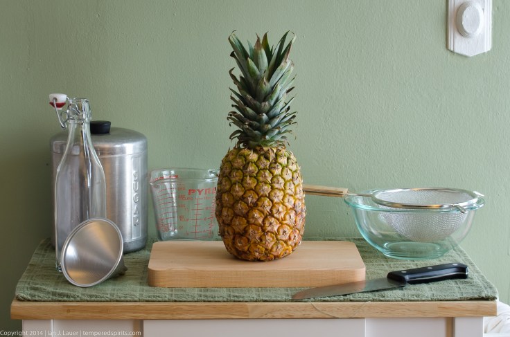 PineappleSyrup (2 of 8)