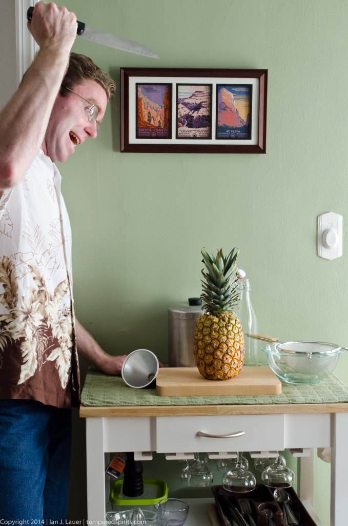 PineappleSyrup (4 of 8)